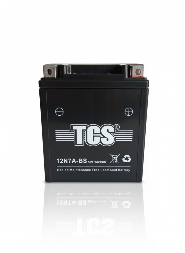 BATERIA 12N7A-BS TCS 113*69*132