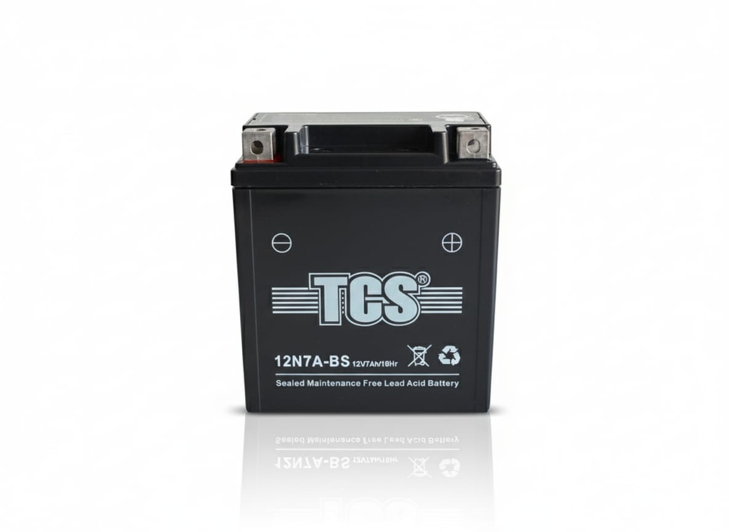 BATERIA 12N7A-BS TCS 113*69*132