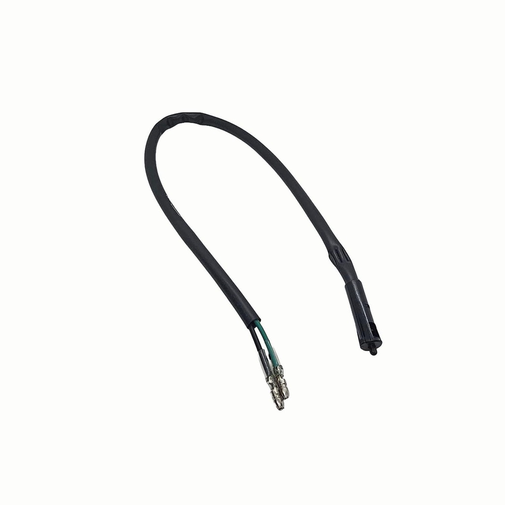 INTERRUPTOR, FRENO DEL.